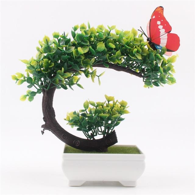 Arching Bonsai - Regular Foilage - Plants