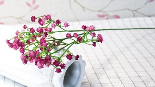 Red Baby's Breath Bunches Foilage Dried Herbs Artificial Plant Simulation Fake Herbal Planter Pots by Arcane Trail