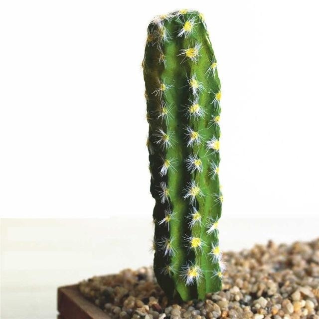 Green Artificial Cacti Plants Simulation Fake Cactus Planters Terrarium Pots Garden by Arcane Trail