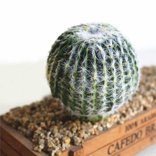 Green Artificial Cacti Plants Simulation Fake Cactus Planters Terrarium Pots Garden by Arcane Trail