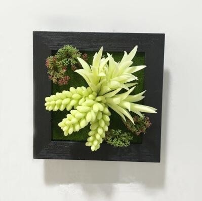 Green Artificial Succulent Plant Wall Hanging Art Framed Picture Frame Home Decor Simulation Fake Cactus Planters Terrarium Pots Garden by Arcane Trail