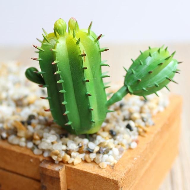 Green Artificial Succulent Plants Simulation Fake Cactus Planters Terrarium Pots Garden by Arcane Trail