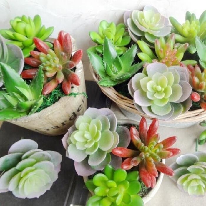 Green Artificial Succulent Plants Simulation Fake Cactus Planters Terrarium Pots Garden by Arcane Trail
