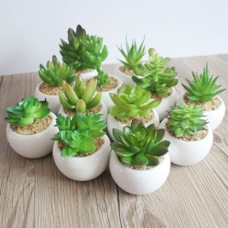 Green Artificial Potted Succulent Planter Pots White Ceramic Vase Simulation Fake Cactus Planters Terrarium Pots Garden by Arcane
