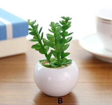 Green Artificial Potted Succulent Planter Pots White Ceramic Vase Simulation Fake Cactus Planters Terrarium Pots Garden by Arcane