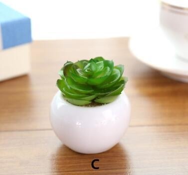 Green Artificial Potted Succulent Planter Pots White Ceramic Vase Simulation Fake Cactus Planters Terrarium Pots Garden by Arcane