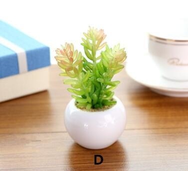 Green Artificial Potted Succulent Planter Pots White Ceramic Vase Simulation Fake Cactus Planters Terrarium Pots Garden by Arcane