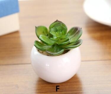 Green Artificial Potted Succulent Planter Pots White Ceramic Vase Simulation Fake Cactus Planters Terrarium Pots Garden by Arcane