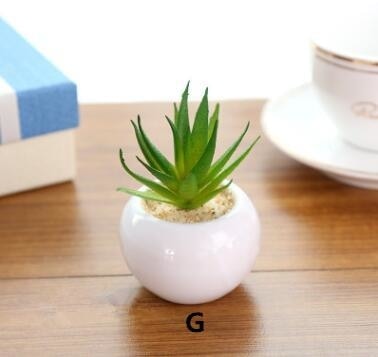 Green Artificial Potted Succulent Planter Pots White Ceramic Vase Simulation Fake Cactus Planters Terrarium Pots Garden by Arcane