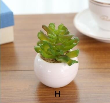 Green Artificial Potted Succulent Planter Pots White Ceramic Vase Simulation Fake Cactus Planters Terrarium Pots Garden by Arcane