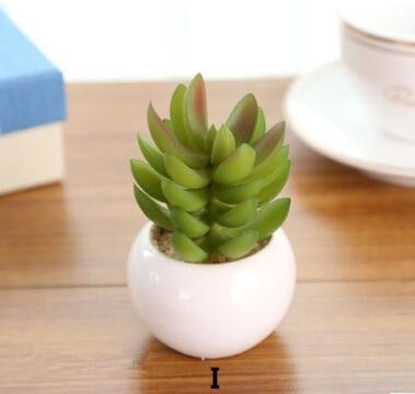 Green Artificial Potted Succulent Planter Pots White Ceramic Vase Simulation Fake Cactus Planters Terrarium Pots Garden by Arcane