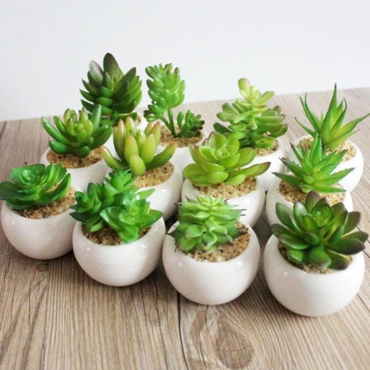 Green Artificial Potted Succulent Planter Pots White Ceramic Vase Simulation Fake Cactus Planters Terrarium Pots Garden by Arcane Trail