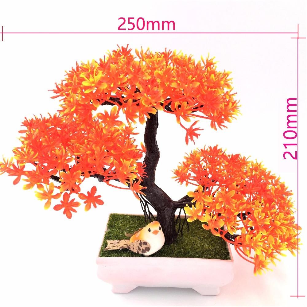 Solid Triple Bonsai - Plants