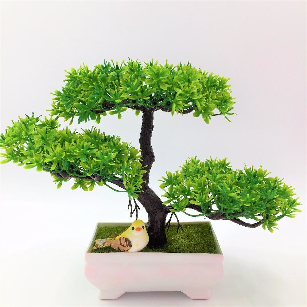 Solid Triple Bonsai - Plants