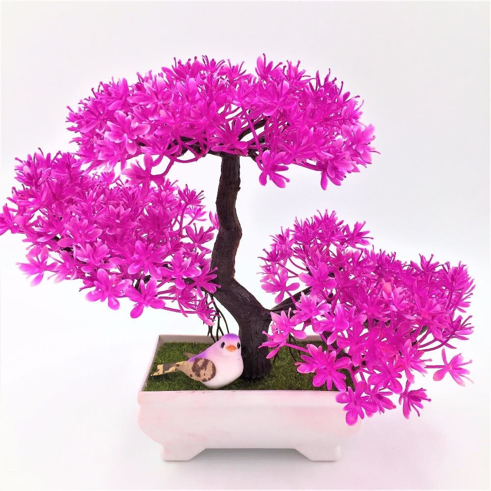 Solid Triple Bonsai - Plants