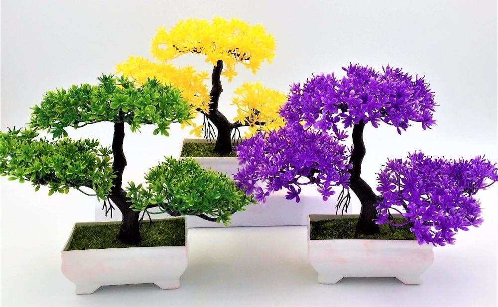 Solid Triple Bonsai - Plants