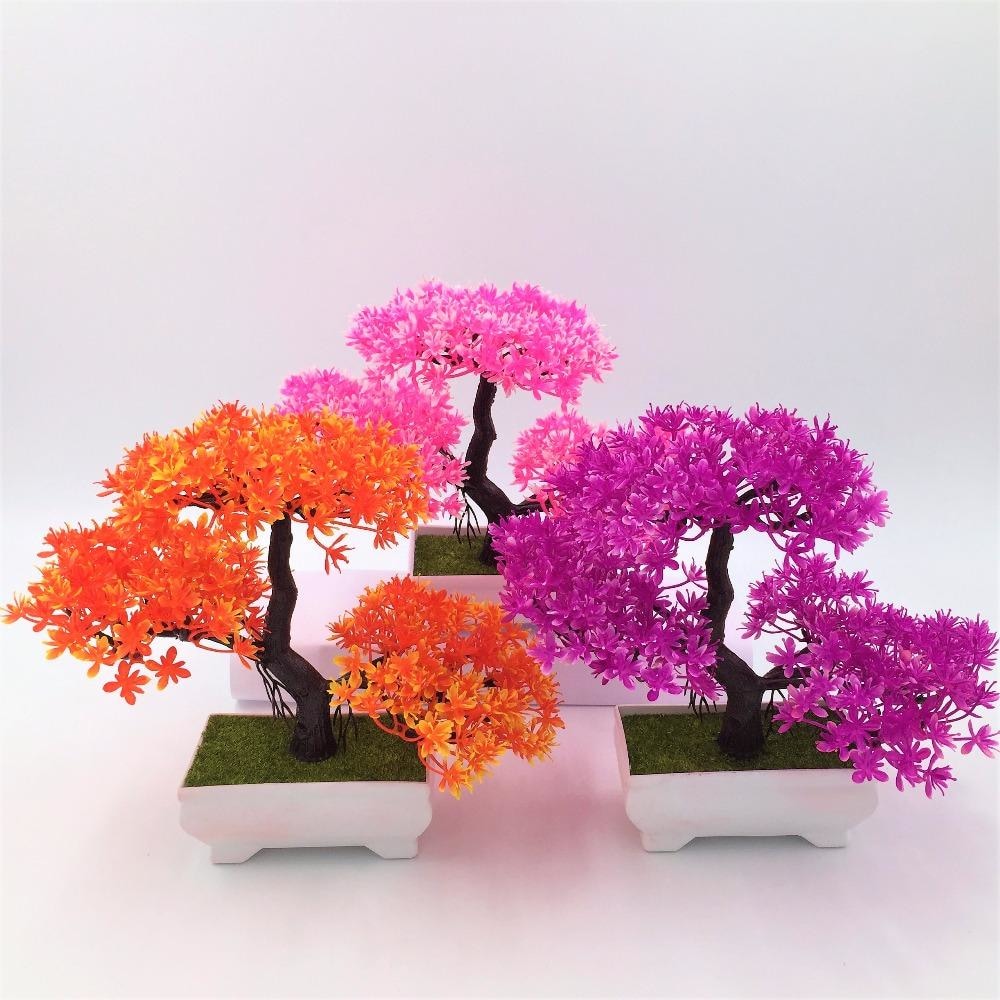 Solid Triple Bonsai - Plants