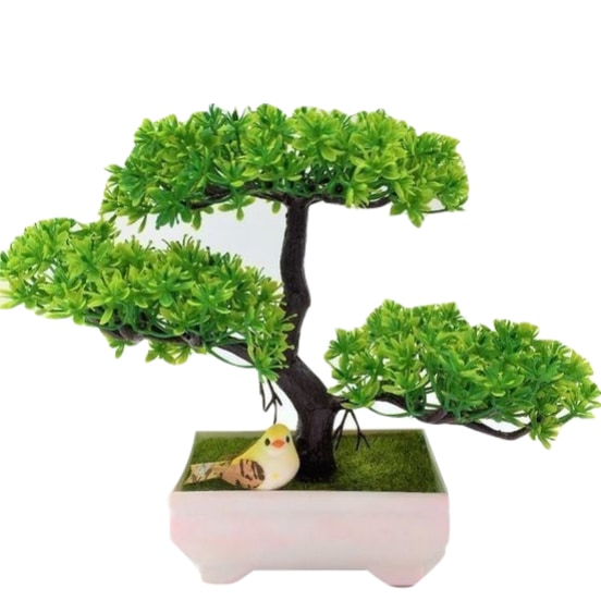 Solid Triple Bonsai - Green - Plants