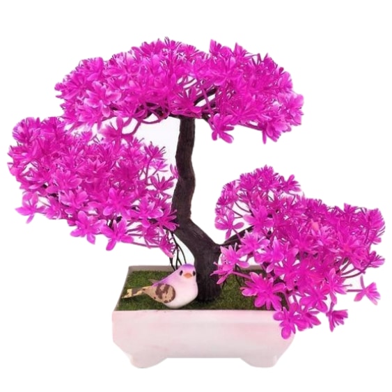 Solid Triple Bonsai - Violet - Plants