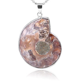 Back view of the ammonite fossil pendant, showing its natural shell surface inside the silver-tone outline.