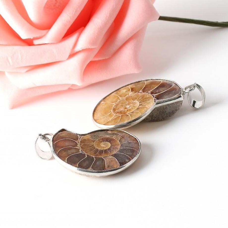 Two ammonite fossil pendants displayed beside a rose, showing individual chamber patterns and silver-tone outlines.