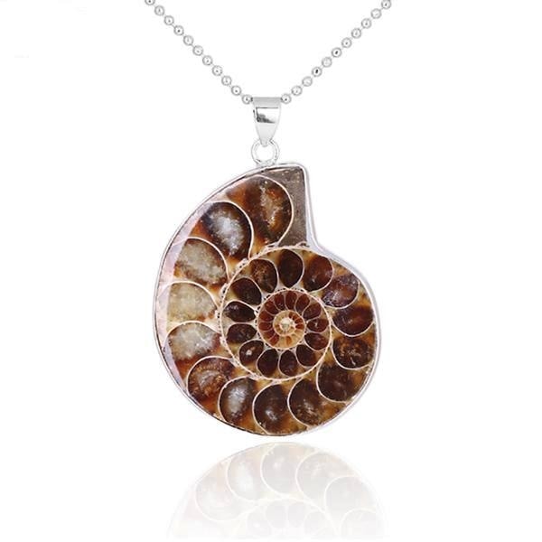 Ammonite fossil pendant on a silver-tone beaded chain, with warm brown spiral chambers visible against white.