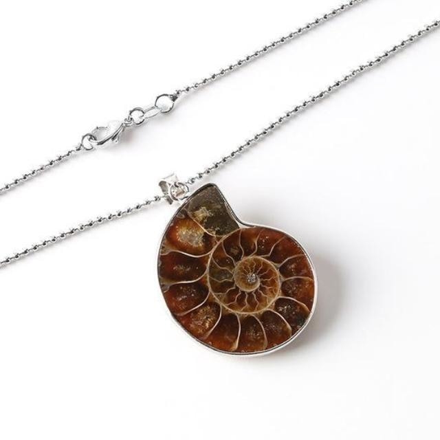 Ammonite pendant with its silver-tone beaded chain and clasp arranged on white.