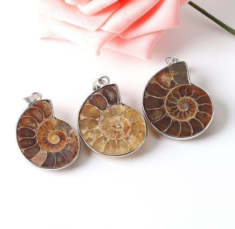 Three ammonite pendants arranged together, comparing natural variations in brown colour and spiral chamber shapes.
