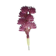 Burgundy artificial succulent branch with clustered rounded leaf heads.