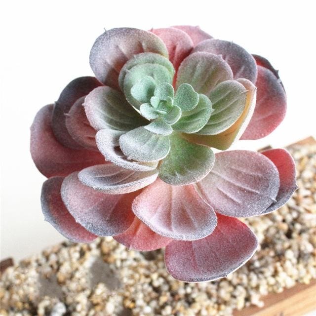 Burgundy and green artificial succulent with broad rounded leaves arranged in a rosette.