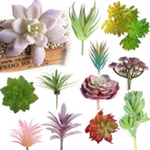 Collage of colourful artificial succulent picks, showing rosettes, narrow-leaf sprigs and clustered branches in green, pink, purple and red.