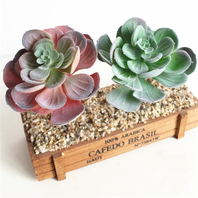 Green and burgundy artificial succulent rosettes shown as a pair, with broad rounded leaves.