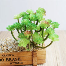 Green artificial succulent branch bearing several small rosette heads.