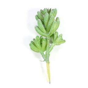 Green artificial succulent branch with rounded leaves clustered around its upper stems.