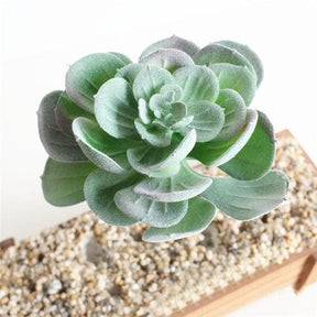 Green artificial succulent with broad rounded leaves forming a compact rosette.