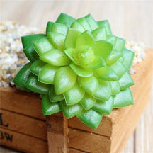 Lime-green artificial succulent with glossy rounded leaves in a low rosette.