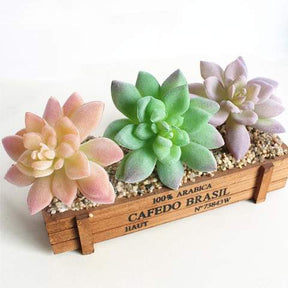 Grouped peach, green and lilac artificial succulent rosettes in a wooden box, showing the contrast between their pointed leaves.