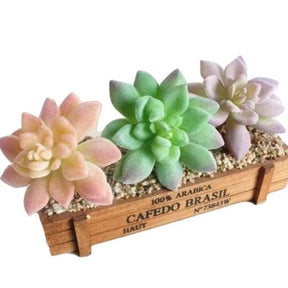Peach, green and lilac artificial succulent rosettes grouped in a wooden display box. Their pointed leaves form layered circular heads.