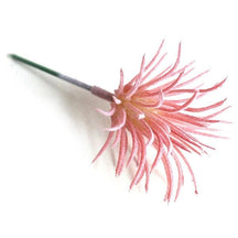 Pink artificial succulent with fine pointed leaves forming a small bushy head.