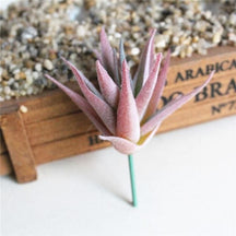 Pink artificial succulent stem with dense narrow leaves and a greenish centre.