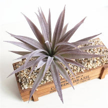 Purple artificial succulent with pointed leaves arranged in a spiky rosette.