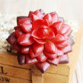 Deep red artificial succulent with rounded glossy leaves arranged in a rosette.