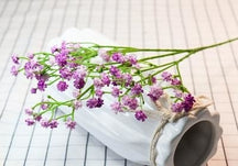 Purple Baby's Breath Bunches Foilage Dried Herbs Artificial Plant Simulation Fake Herbal Planter Pots by Arcane Trail
