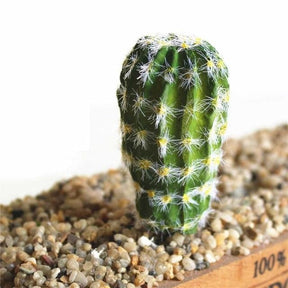 Green Artificial Cacti Plants Simulation Fake Cactus Planters Terrarium Pots Garden by Arcane Trail