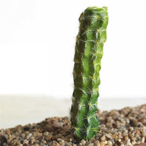Green Artificial Cacti Plants Simulation Fake Cactus Planters Terrarium Pots Garden by Arcane Trail