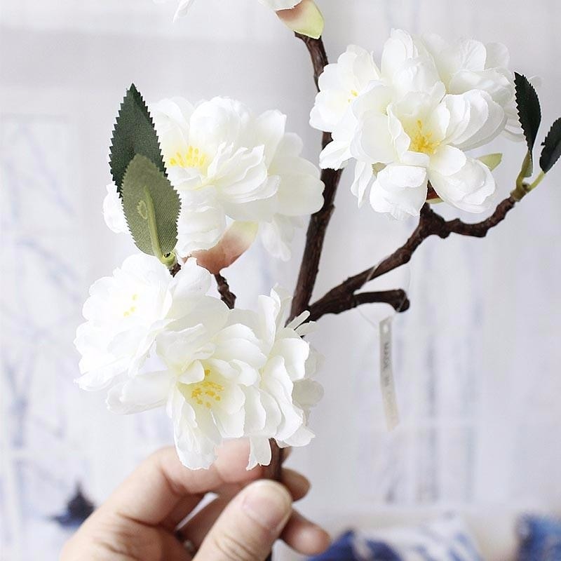 Cherry Blossom Branches - Plants