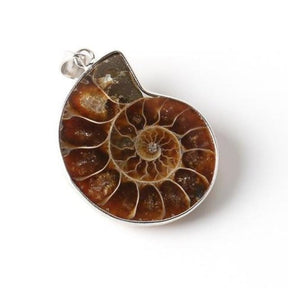 Close front view of a dark brown ammonite pendant with a polished spiral face and silver-tone setting.