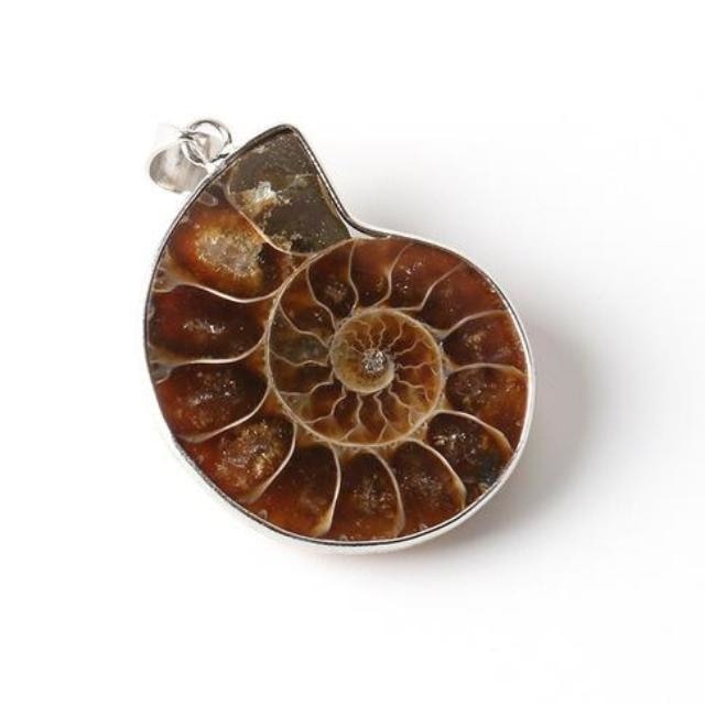 Close front view of a dark brown ammonite pendant with a polished spiral face and silver-tone setting.