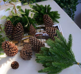 Green Artificial Fir Pine Tree Branches with Pinecones Simulated Fake Plants by Arcane Trail
