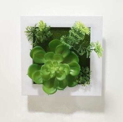 Green Artificial Succulent Plant Wall Hanging Art Framed Picture Frame Home Decor Simulation Fake Cactus Planters Terrarium Pots Garden by Arcane Trail